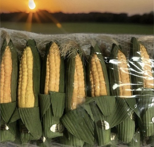 Longaberger faux corn - longaberger,